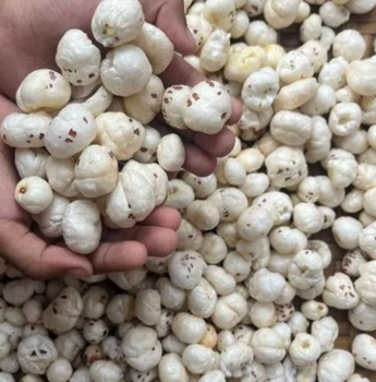 Premium Quality Makhana / Fox Nuts - NUTZEST FOODS PRIVATE LIMITED - India